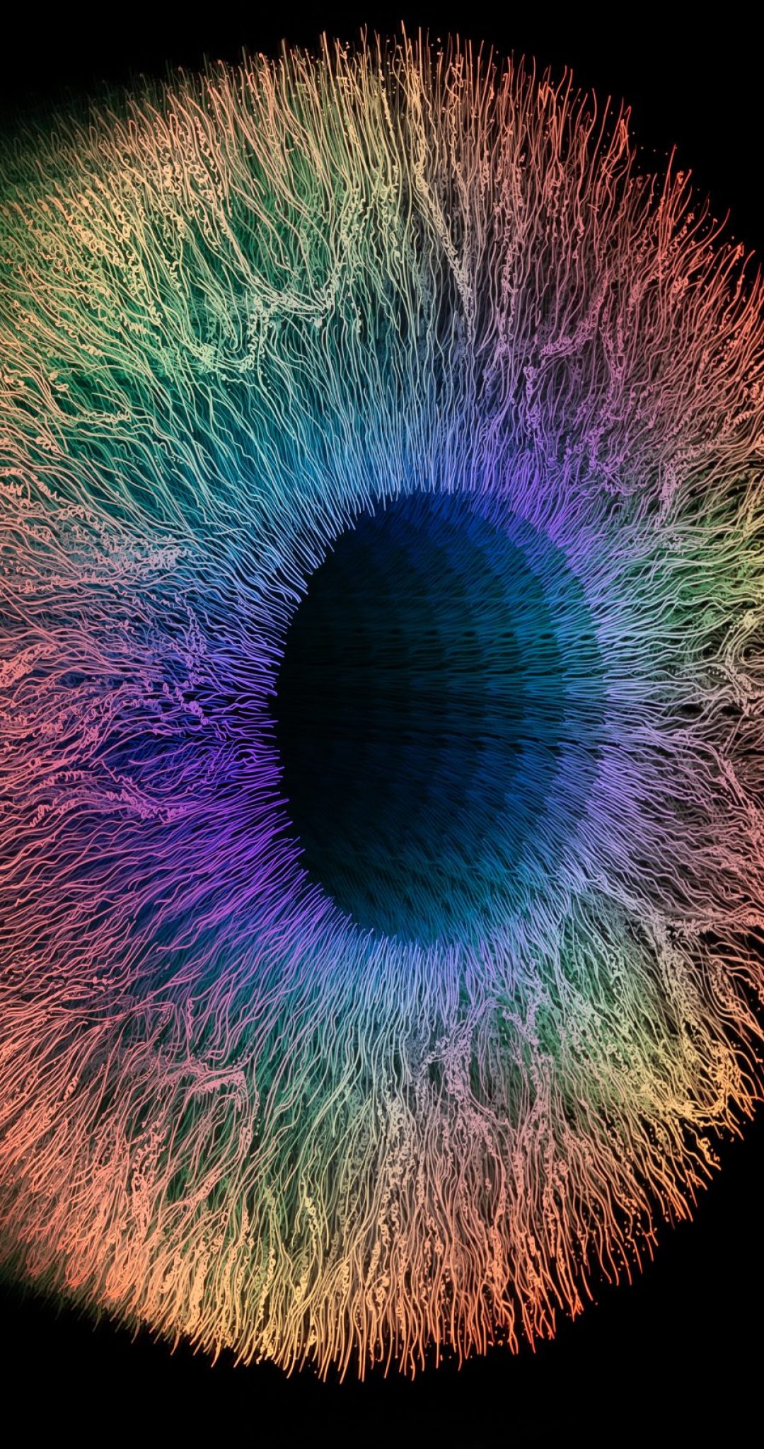 20231203011945_73252